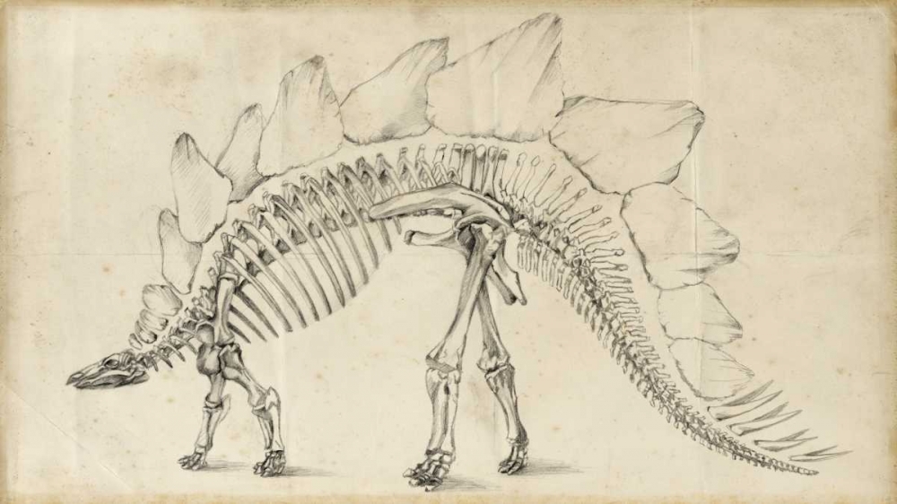 Wall Art Painting id:38204, Name: Dinosaur Study III, Artist: Harper, Ethan