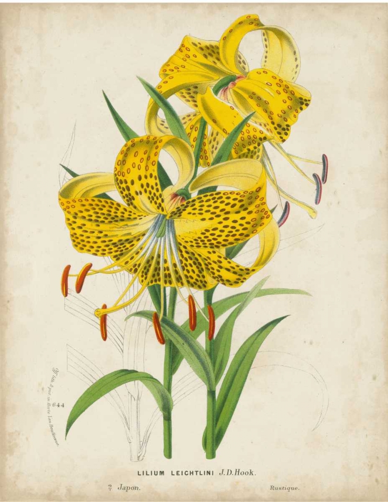 Art Print: Tropical Array IV