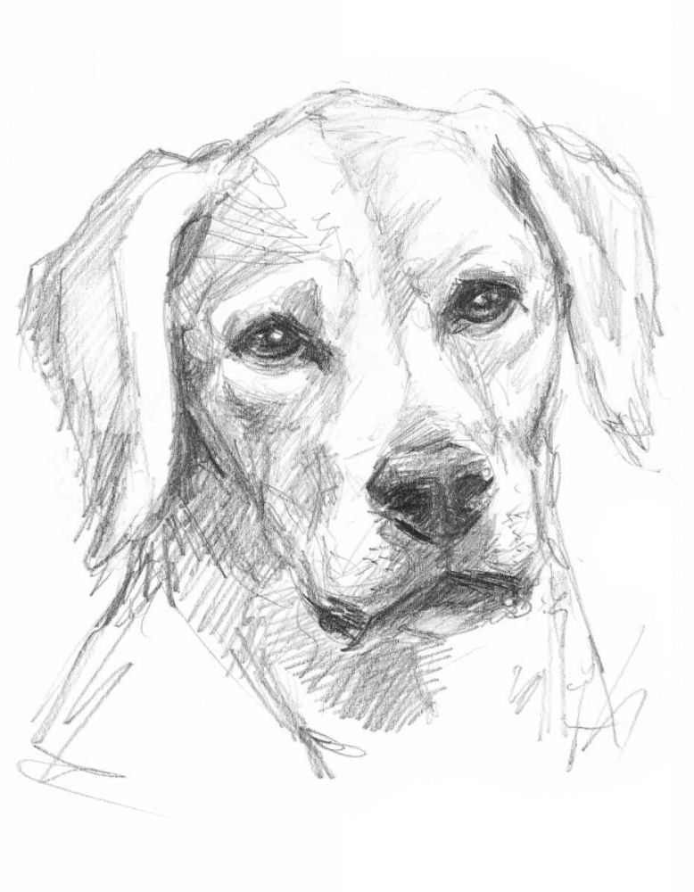 Wall Art Painting id:34505, Name: Constant Companion I, Artist: Harper, Ethan