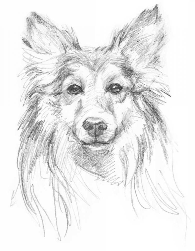 Wall Art Painting id:34506, Name: Constant Companion II, Artist: Harper, Ethan