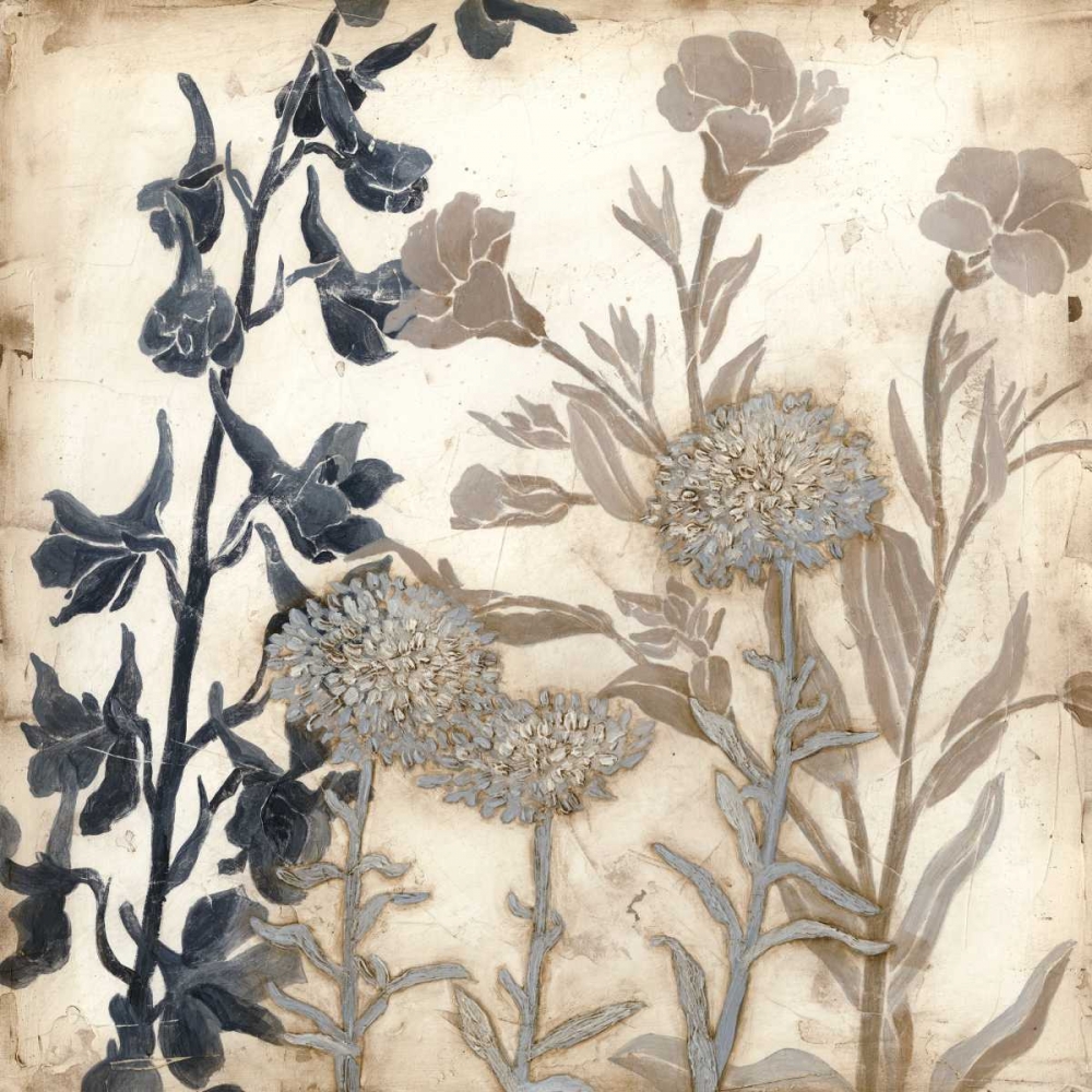 Wall Art Painting id:55676, Name: Bloom Shadows I, Artist: Meagher, Megan