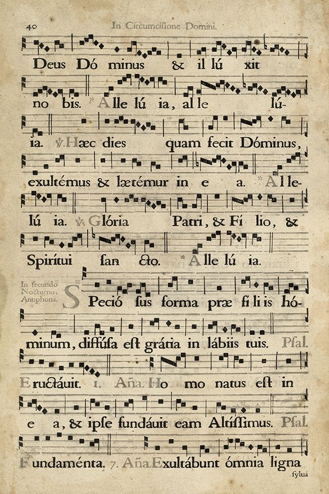 Wall Art Painting id:217317, Name: Vellum Songbook II, Artist: Unknown