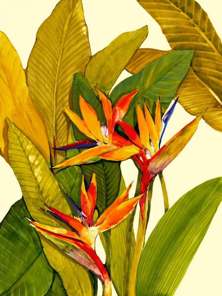 Wall Art Painting id:42368, Name: Tropical Bird of Paradise, Artist: OToole, Tim