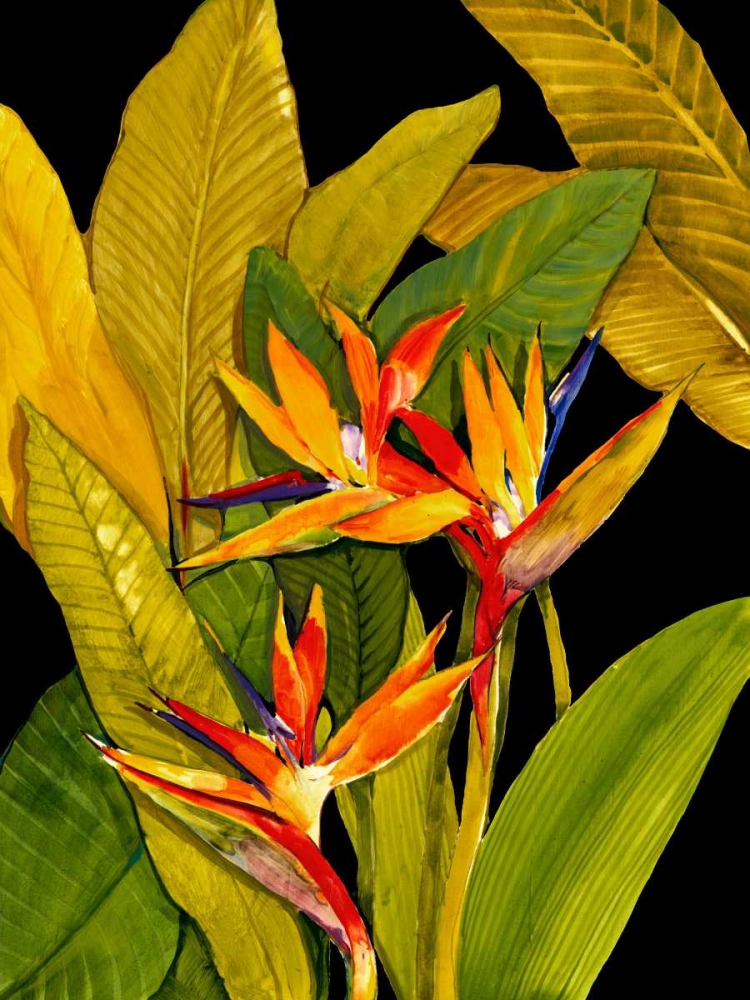 Wall Art Painting id:34332, Name: Dramatic Bird of Paradise, Artist: OToole, Tim