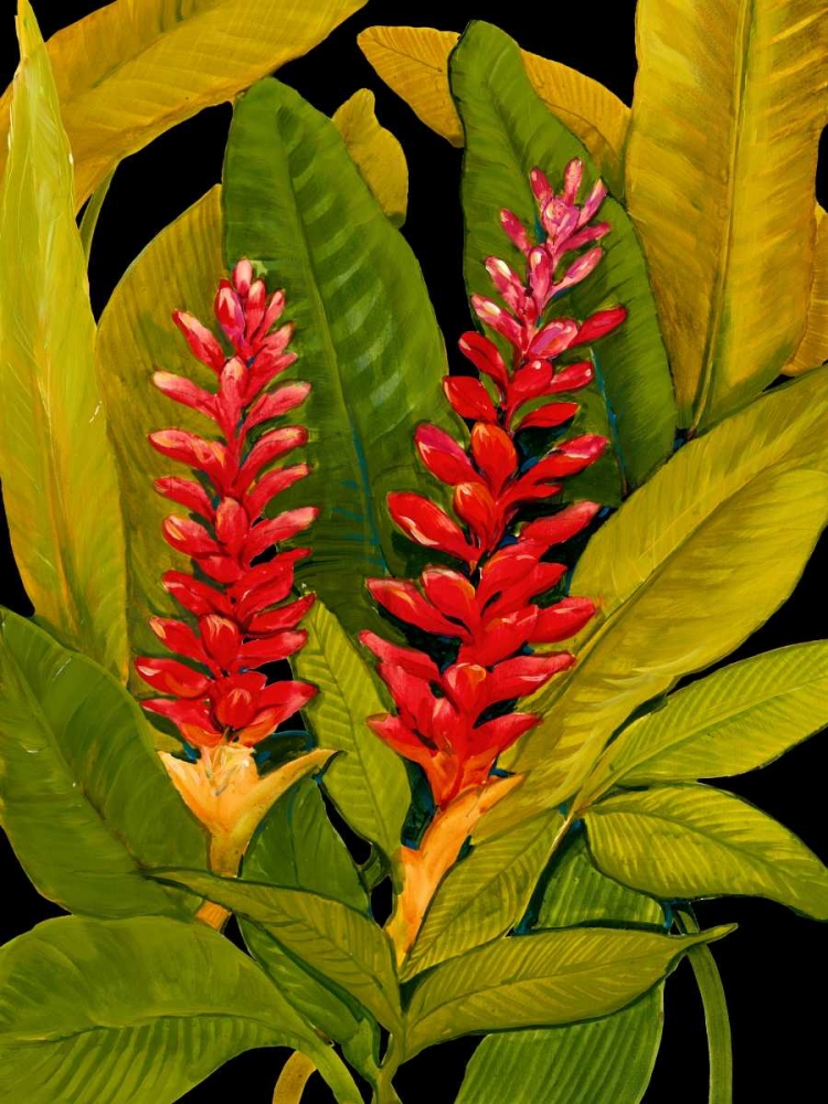 Wall Art Painting id:34333, Name: Dramatic Red Ginger, Artist: OToole, Tim