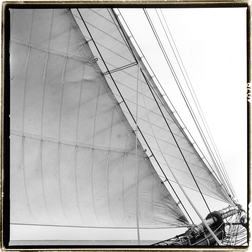 Art Print: Under Sail I