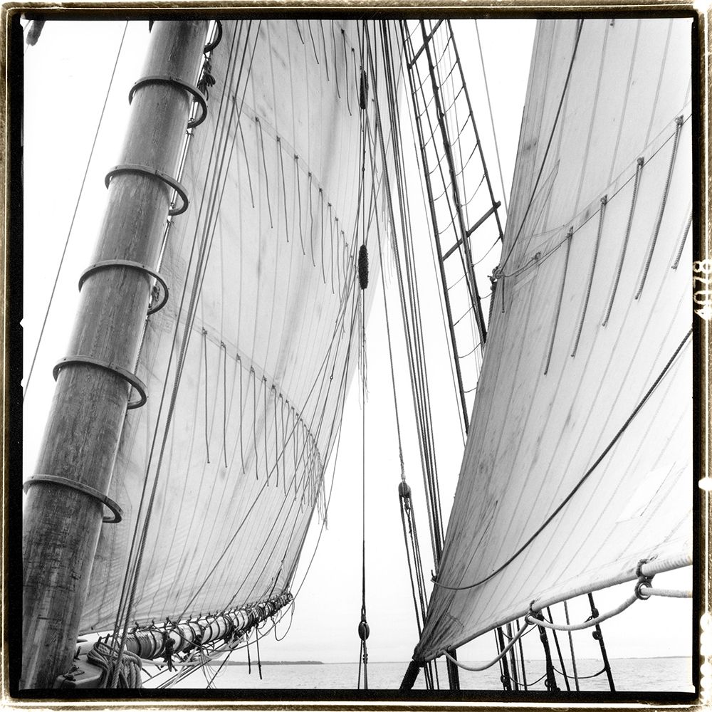 Wall art: Under Sail II, by DeNardo, Laura