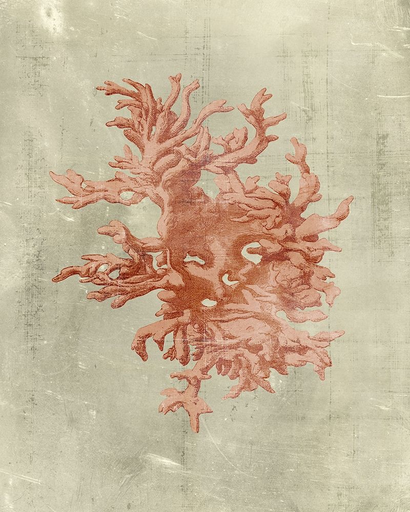 Wall Art Painting id:234778, Name: Coral in Terra Cotta, Artist: Vision Studio