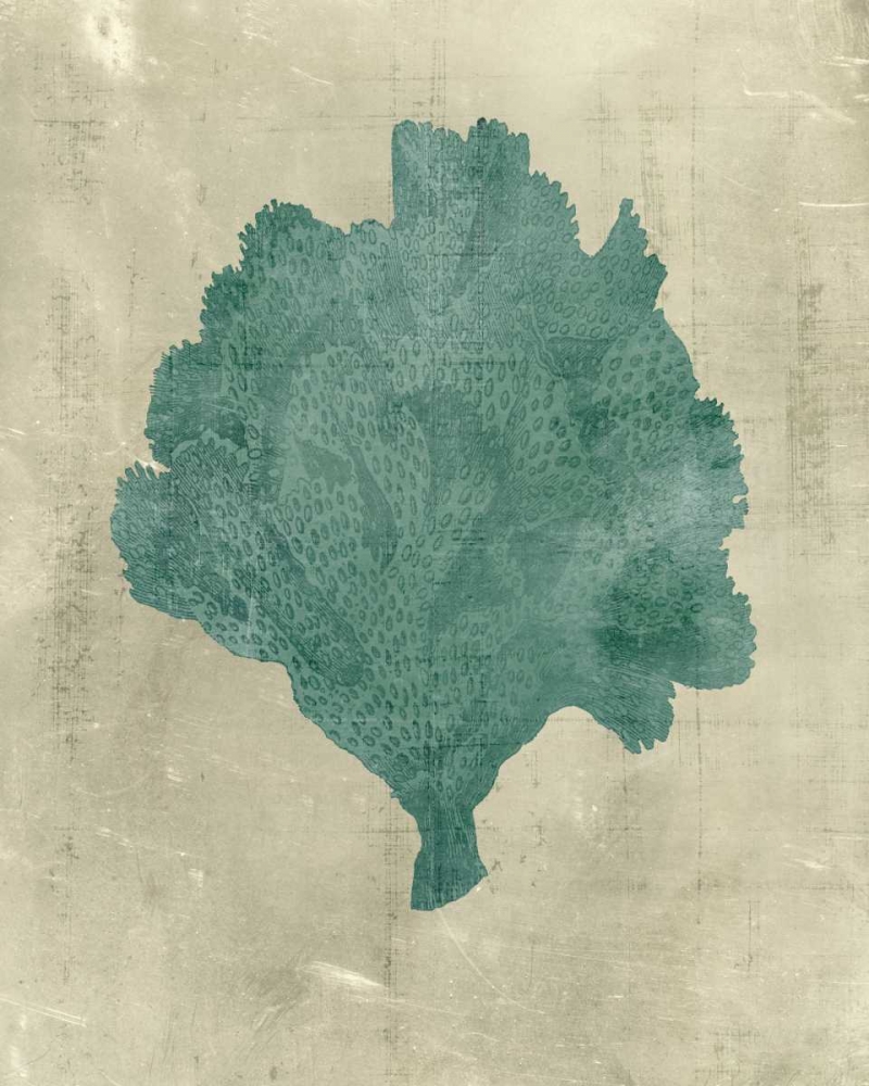 Wall Art Painting id:34533, Name: Coral in Teal, Artist: Vision Studio