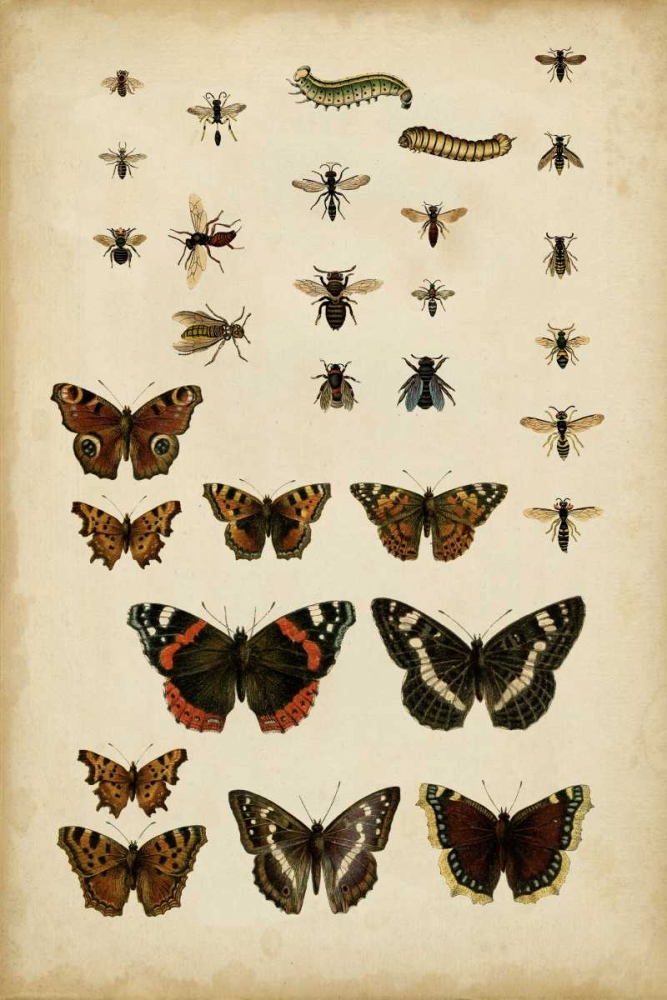 Wall Art Painting id:34545, Name: Garden Friends, Artist: Vision Studio