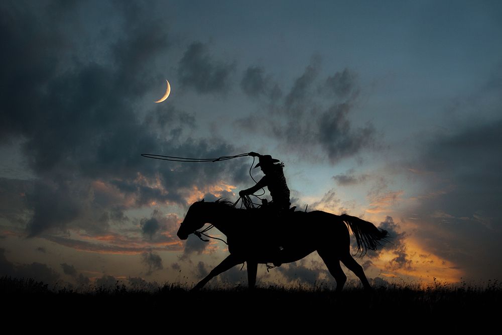 Wall art: Cowboy By Day and Night II, by PHBurchett