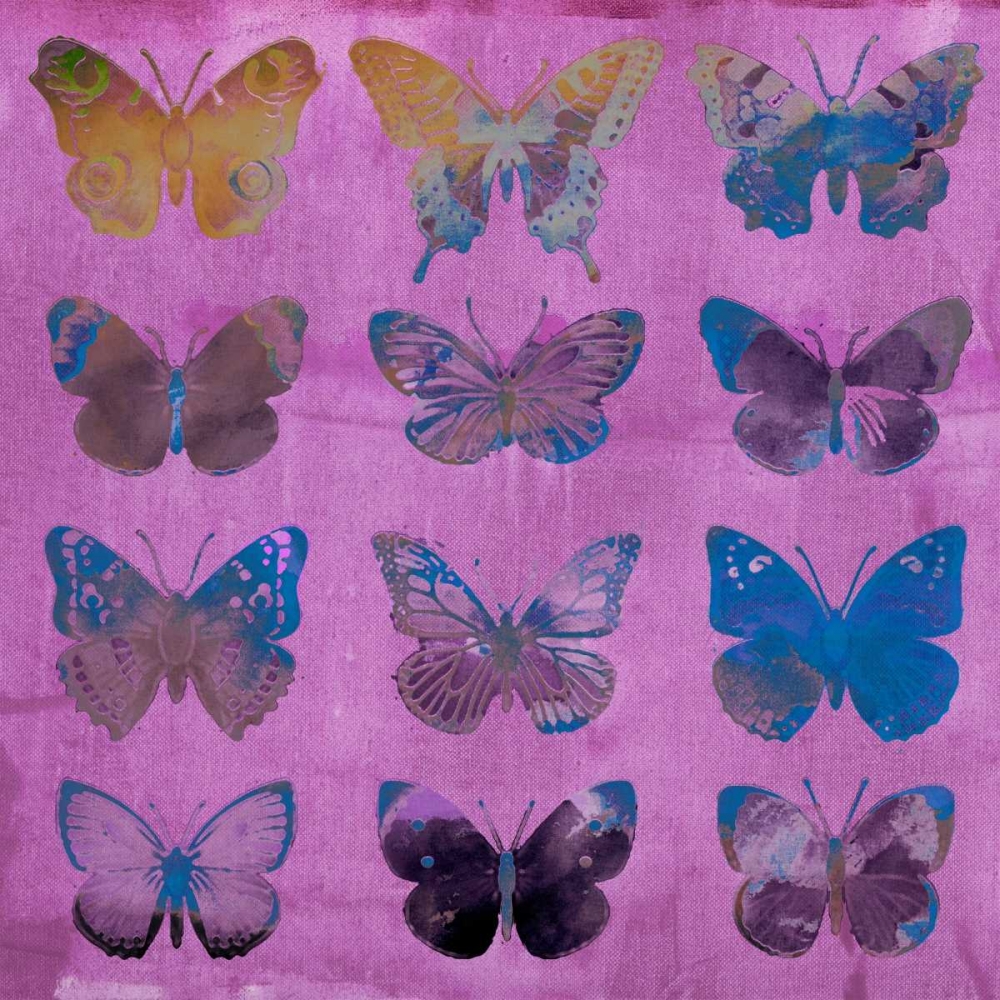 Wall Art Painting id:38213, Name: Butterflies on Magenta, Artist: Jasper, Sisa