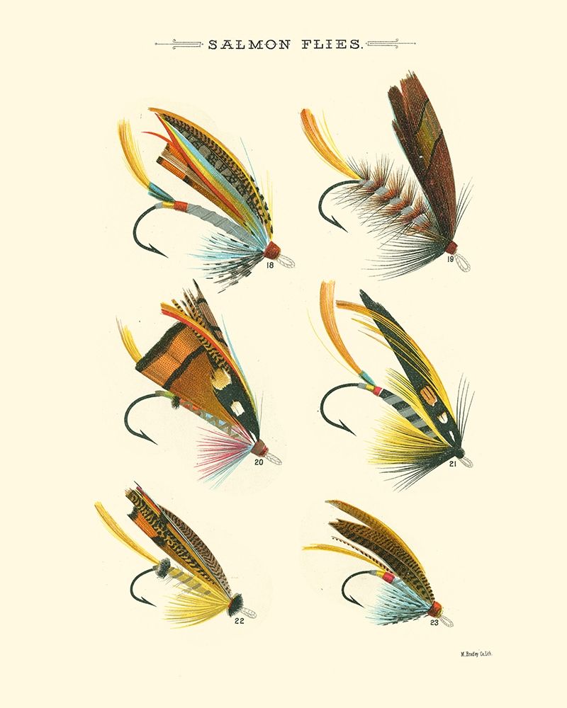 Art Print: Salmon Flies I