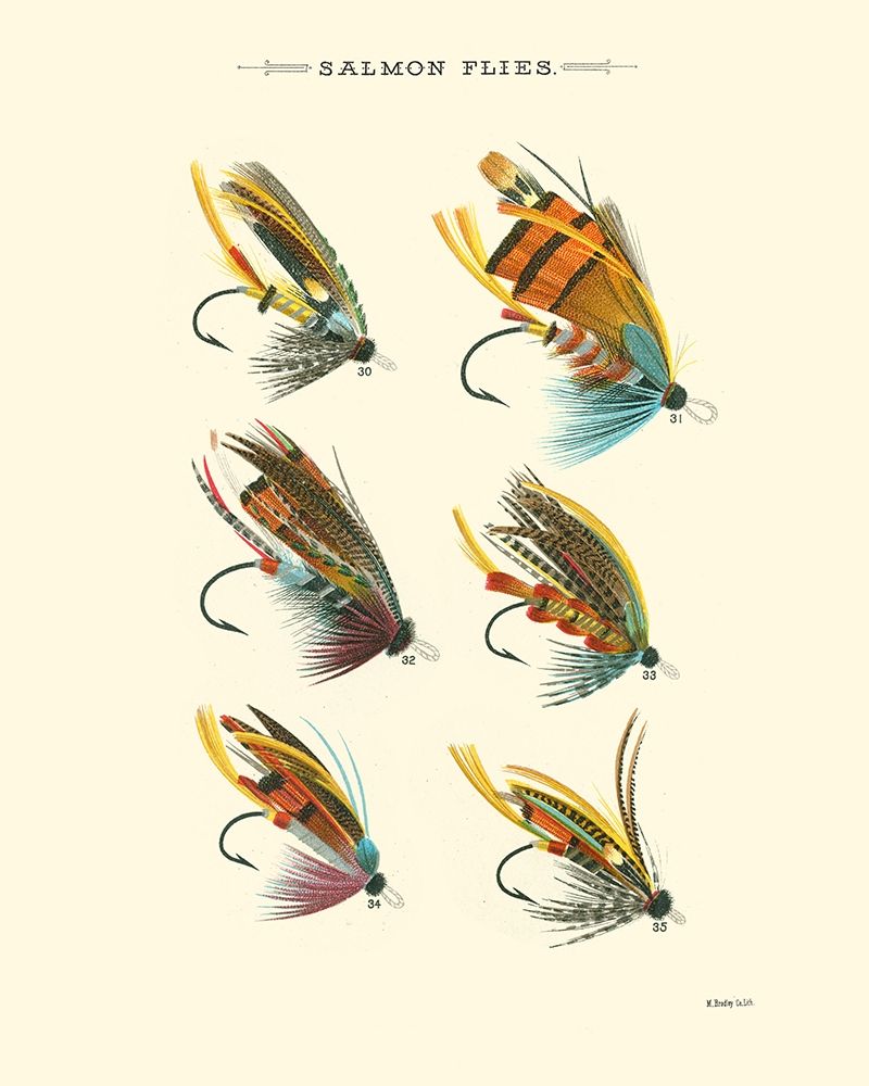Art Print: Salmon Flies II
