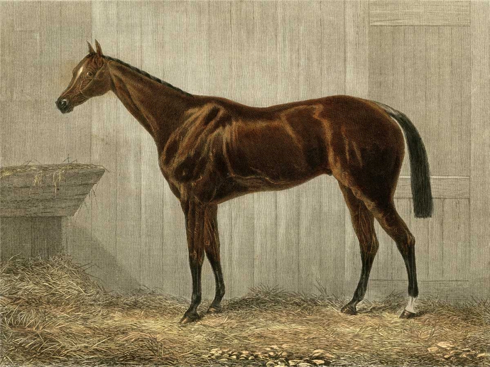 Wall Art Painting id:66492, Name: Blue Crown, Artist: unknown