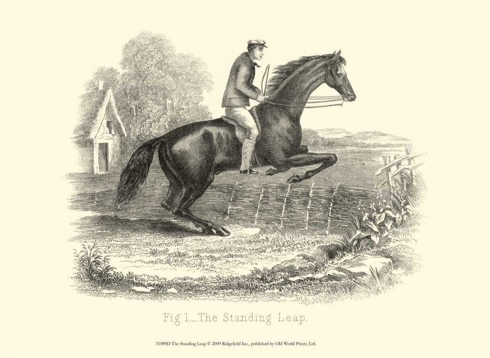 Wall Art Painting id:66493, Name: The Standing Leap, Artist: unknown