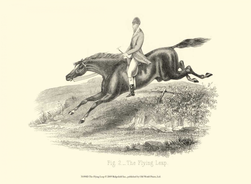 Wall Art Painting id:66494, Name: The Flying Leap, Artist: unknown