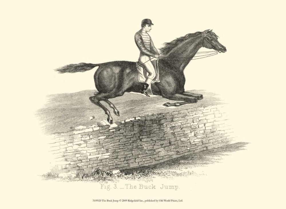 Wall Art Painting id:66495, Name: The Buck Jump, Artist: unknown