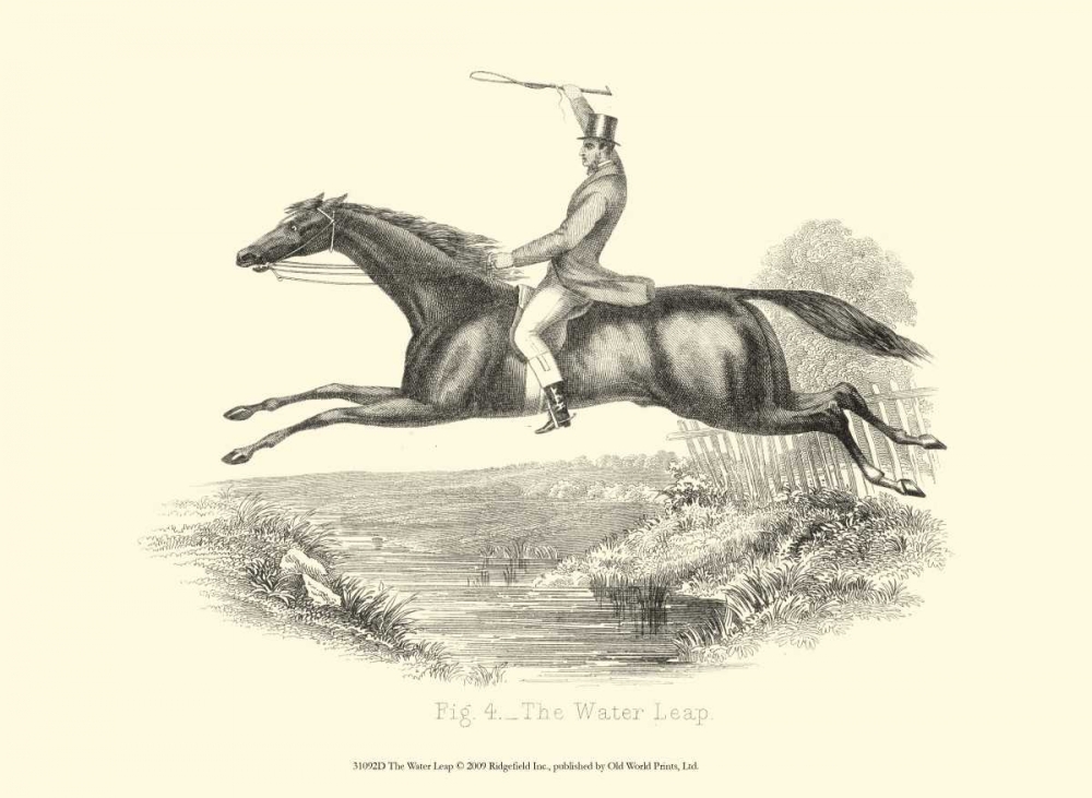 Wall Art Painting id:66496, Name: The Water Leap, Artist: unknown