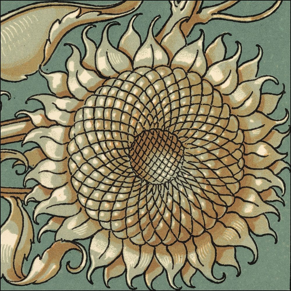 Wall art: Sunflower Woodblock IV, by Unknown