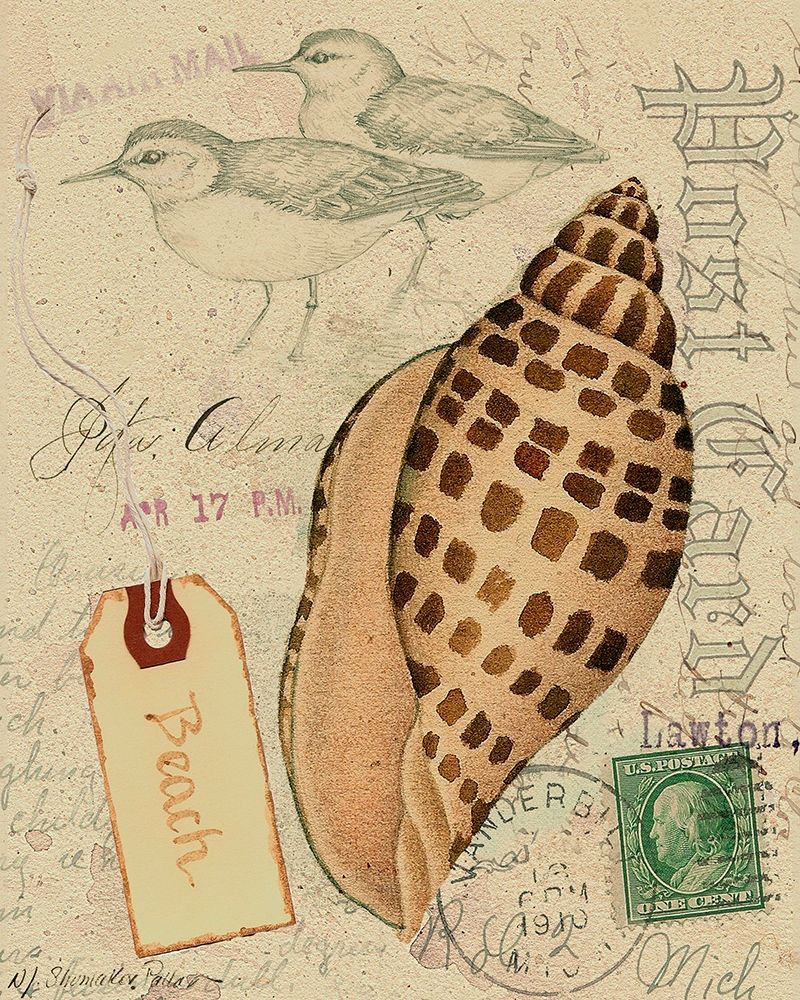Wall Art Painting id:217319, Name: Postcard Shells I, Artist: Pallan, Nancy S.