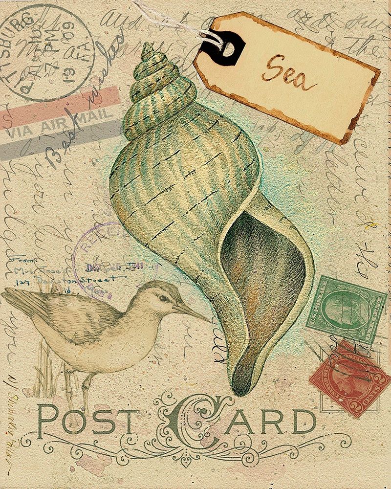 Wall Art Painting id:217320, Name: Postcard Shells II, Artist: Pallan, Nancy S.