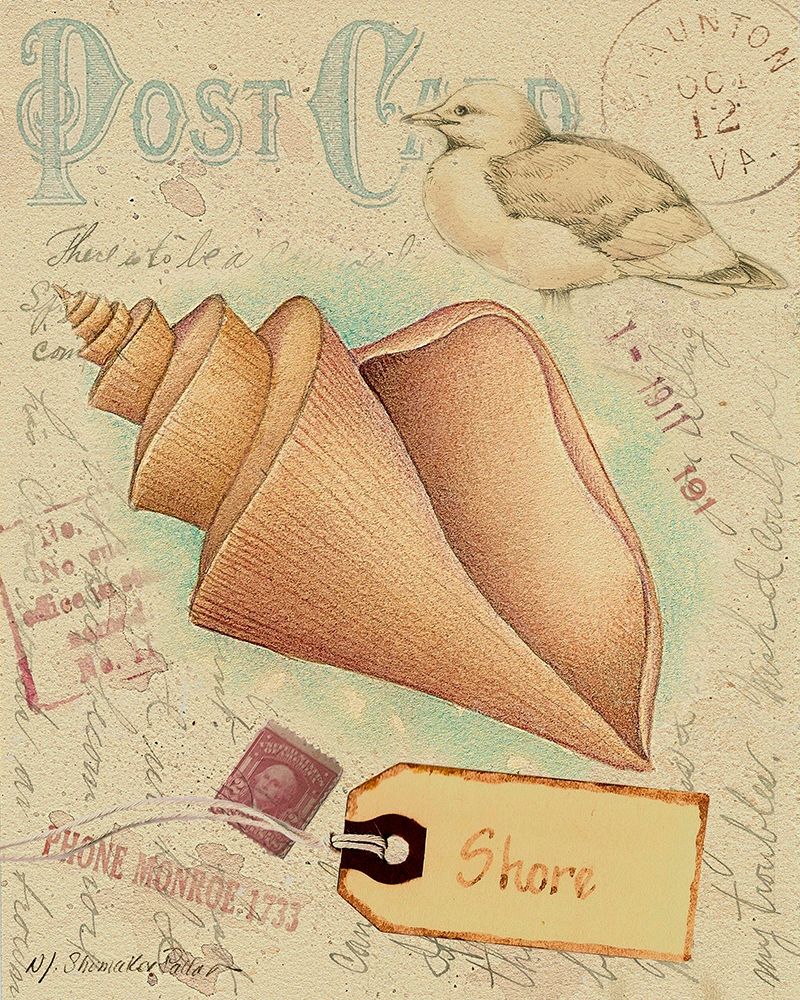Wall Art Painting id:217321, Name: Postcard Shells III, Artist: Pallan, Nancy S.