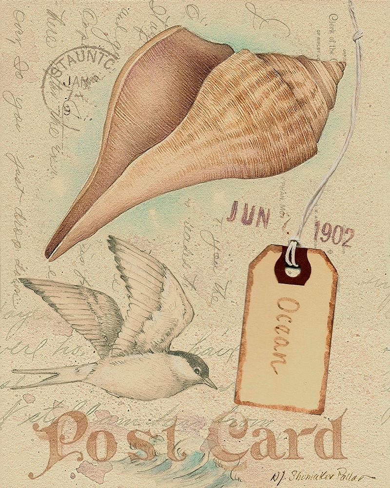 Wall Art Painting id:217322, Name: Postcard Shells IV, Artist: Pallan, Nancy S.