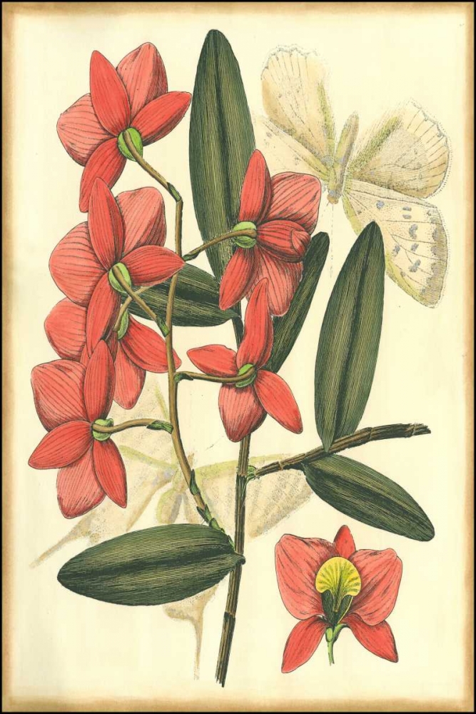 Wall Art Painting id:38227, Name: Floral Fantasia III, Artist: Unknown