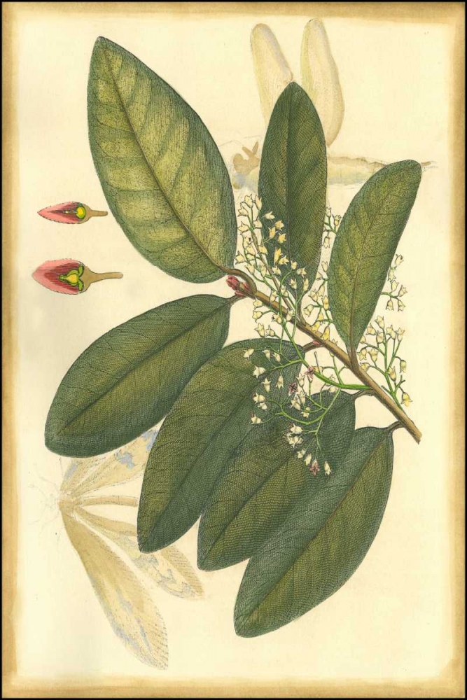 Wall Art Painting id:38228, Name: Floral Fantasia IV, Artist: Unknown