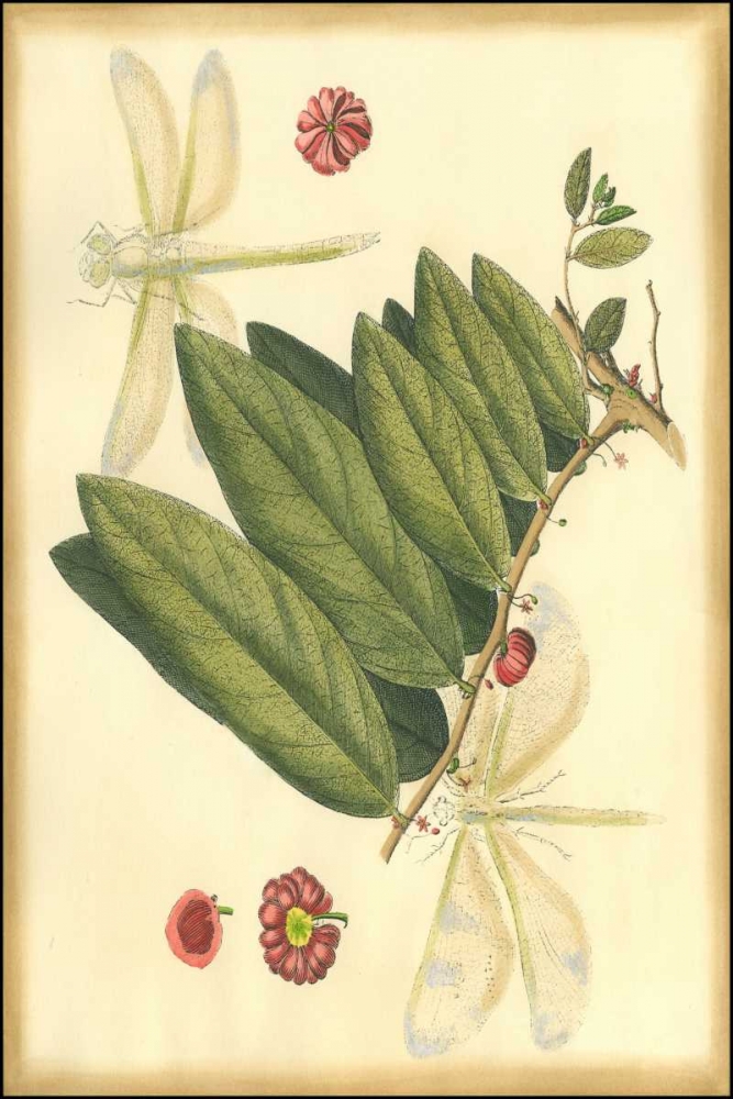 Wall Art Painting id:38229, Name: Floral Fantasia V, Artist: Unknown