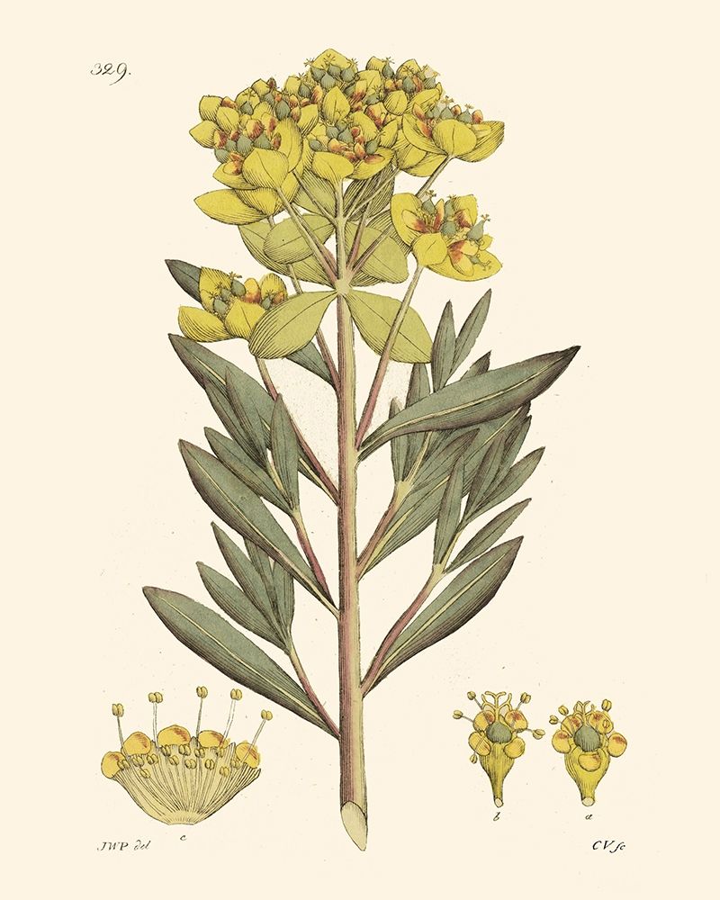 Similar wall art painting: 235383