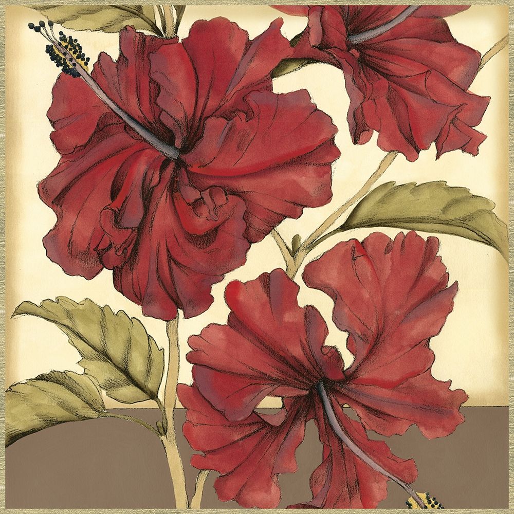 Wall Art Painting id:235443, Name: Cropped Sophisticated Hibiscus I , Artist: Goldberger, Jennifer