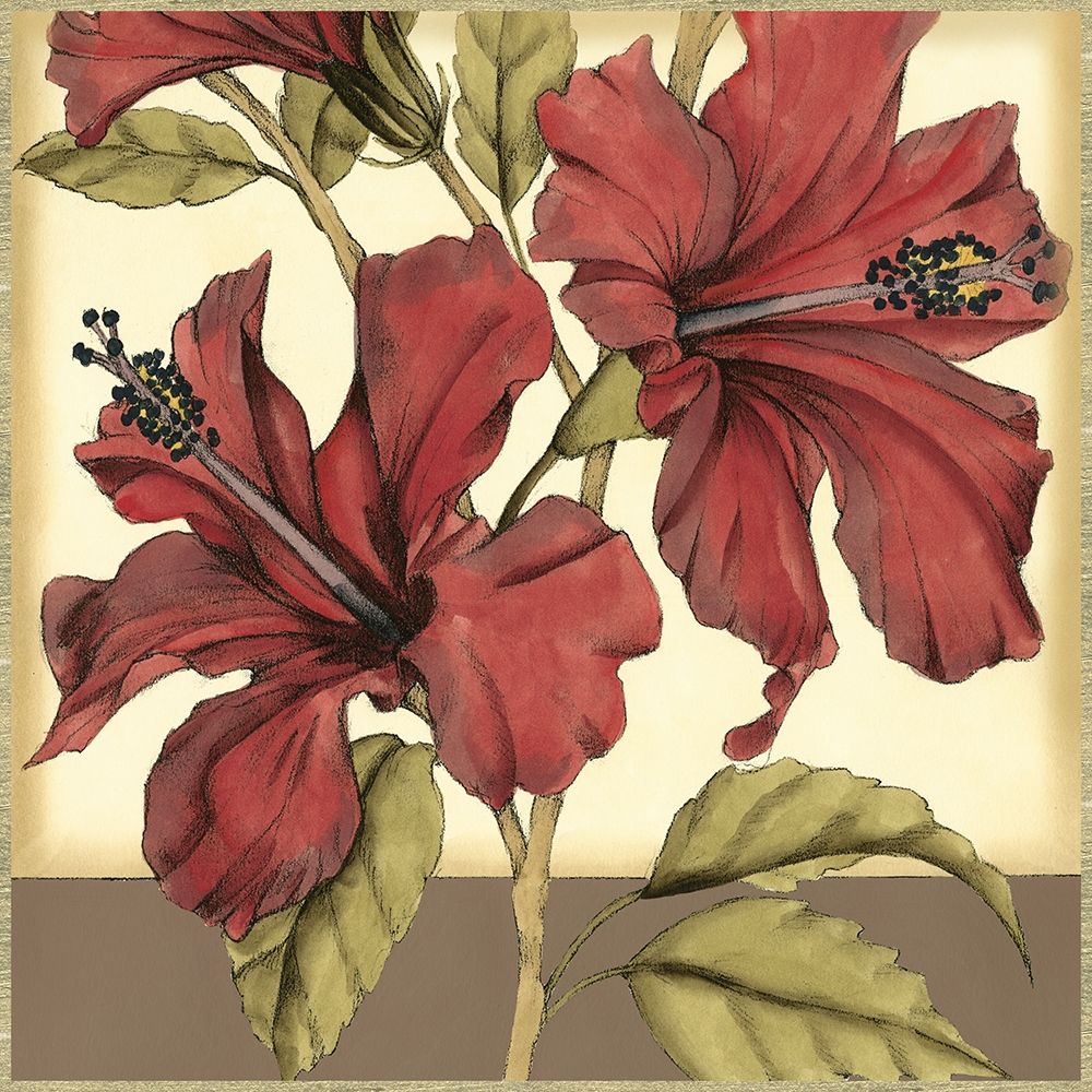 Wall Art Painting id:235444, Name: Cropped Sophisticated Hibiscus II, Artist: Goldberger, Jennifer