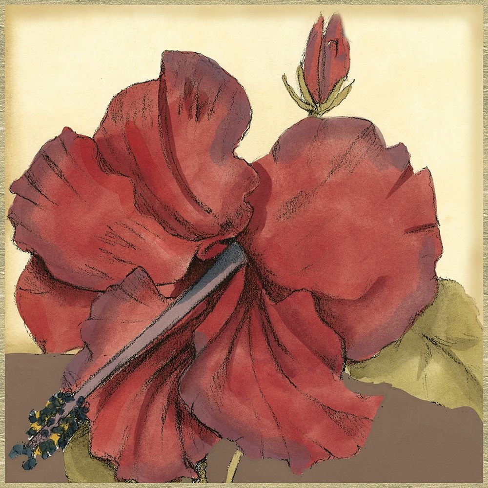Art Print: Cropped Sophisticated Hibiscus III 