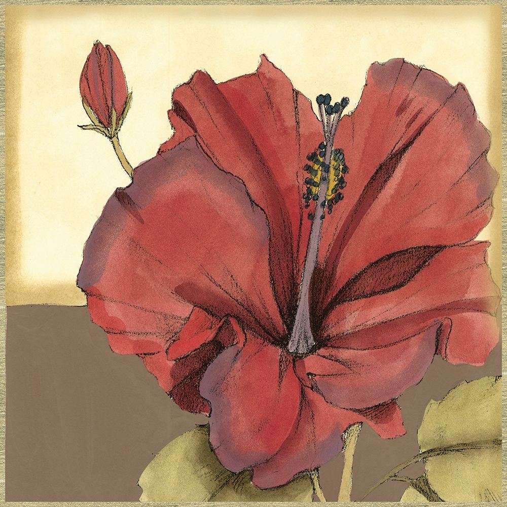 Wall Art Painting id:235446, Name: Cropped Sophisticated Hibiscus IV , Artist: Goldberger, Jennifer