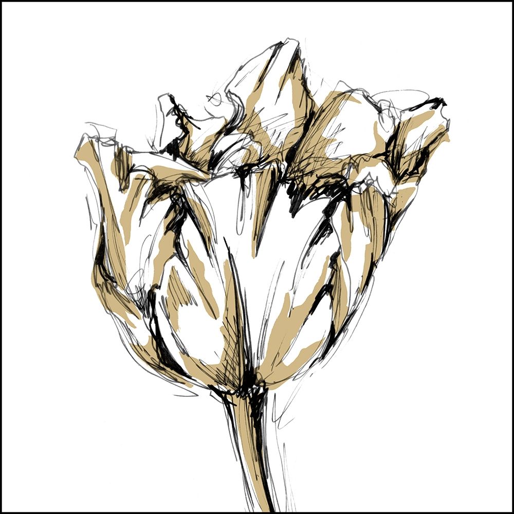 Wall Art Painting id:212307, Name: Small Tulip Sketch I, Artist: Harper, Ethan