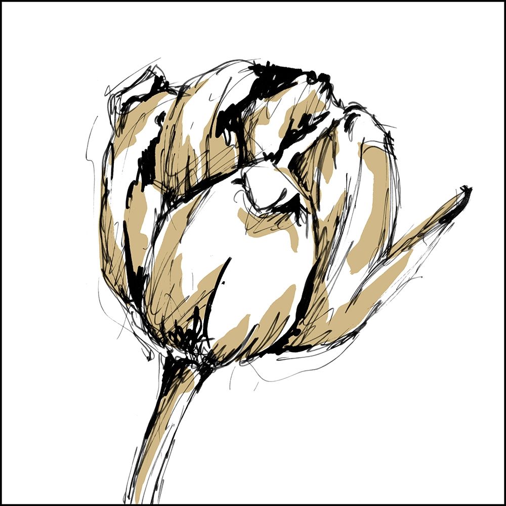 Wall art: Small Tulip Sketch II, by Harper, Ethan