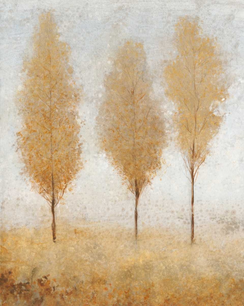 Wall Art Painting id:34557, Name: Autumn Springs I, Artist: OToole, Tim