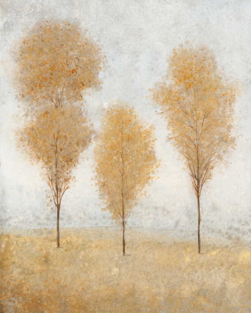 Wall Art Painting id:34558, Name: Autumn Springs II, Artist: OToole, Tim