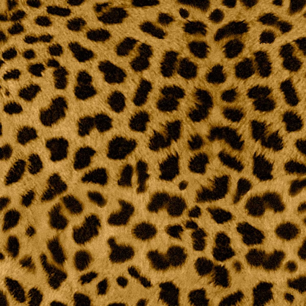 Wall art: Animal Instinct I, by Vision Studio