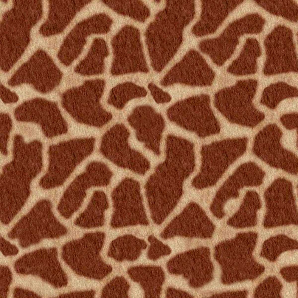 Wall art: Animal Instinct III, by Vision Studio