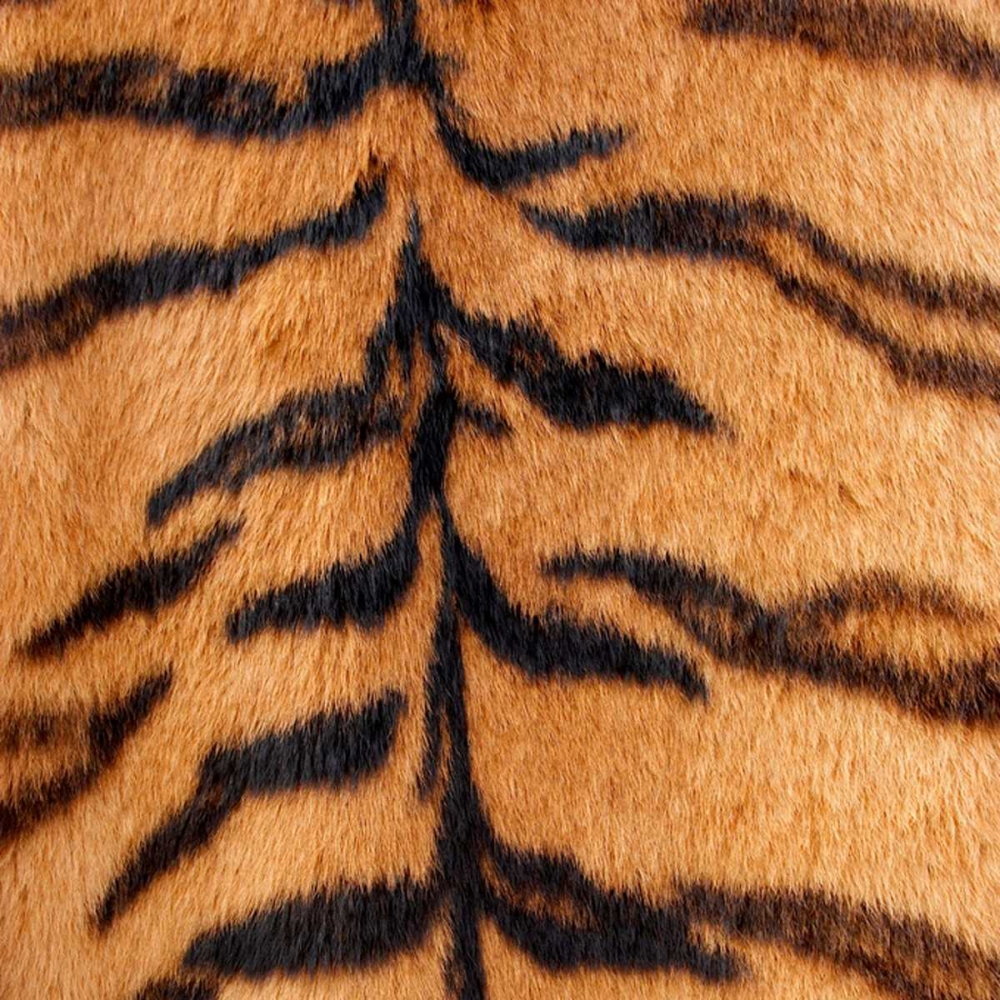 Wall art: Animal Instinct III, by Vision Studio