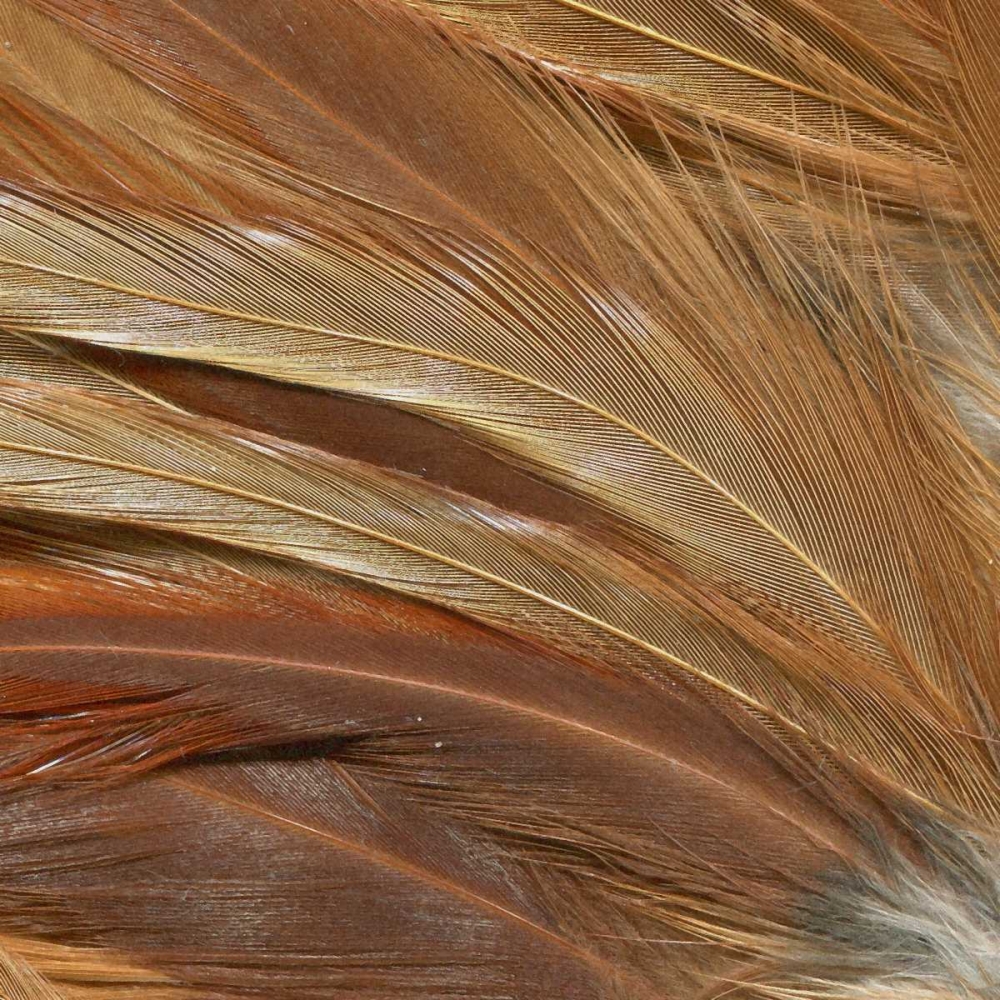 Similar wall art painting: 66540