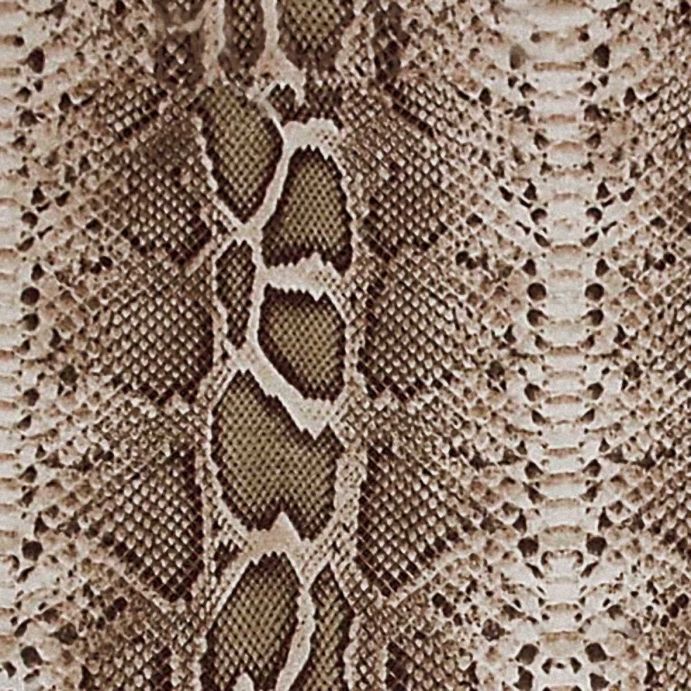 Wall art: Animal Instinct V, by Vision Studio