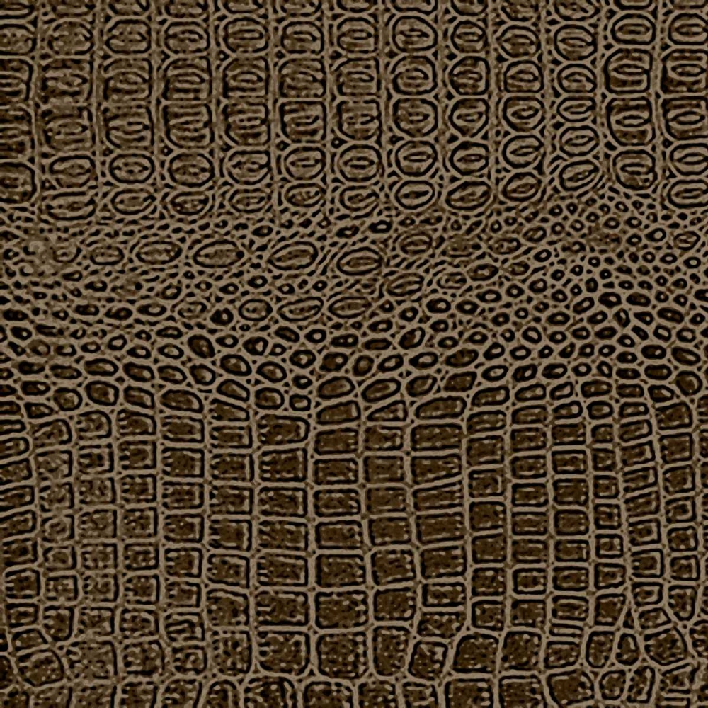 Wall art: Animal Instinct VIII, by Vision Studio