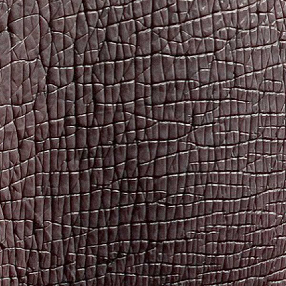 Wall art: Animal Instinct IX, by Vision Studio