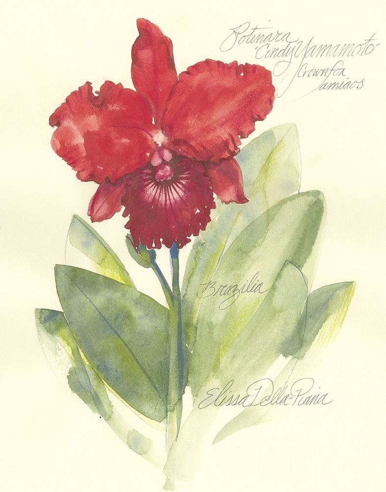 Art Print: Elissas Garden I