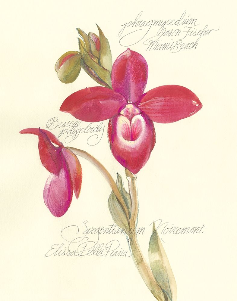 Art Print: Elissas Garden II