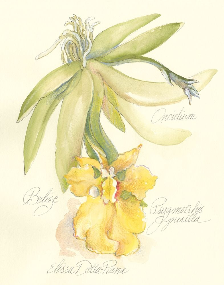 Art Print: Elissas Garden III